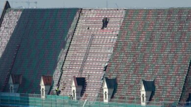 Diagnoza stanu dachu